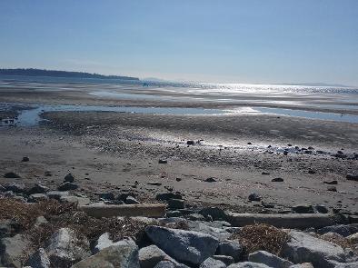 Beach by the Ocean